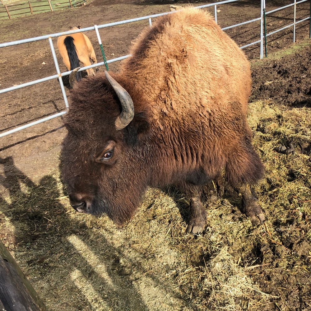 Meet your Posher, Mikayla